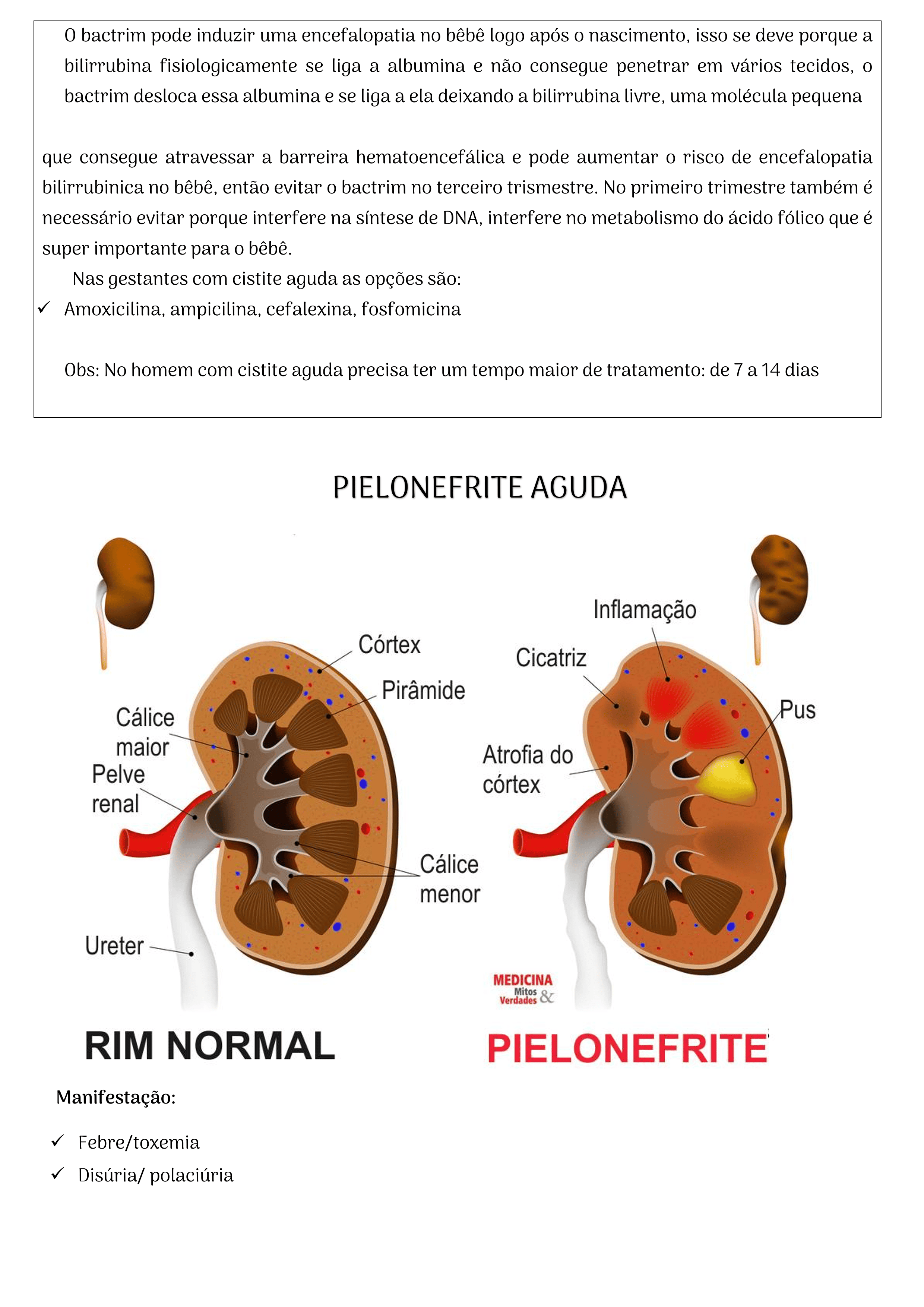 10Um_Guia_de_Raciocínio_para_Aprender_os_Antibióticos_Bizu_Farmacológico_70