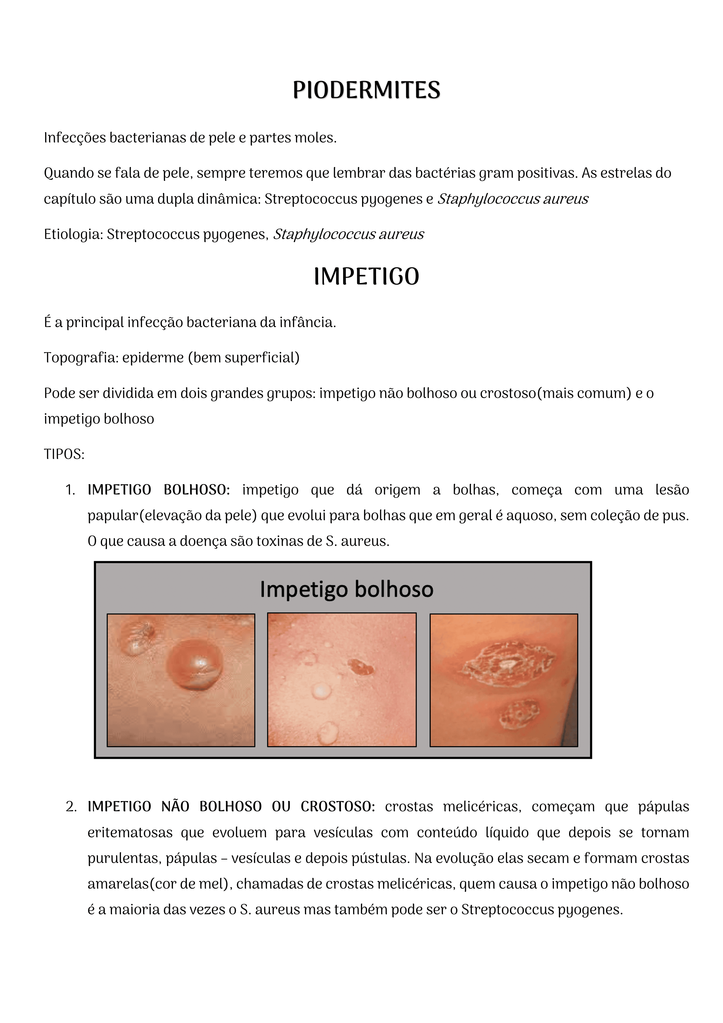 14Um_Guia_de_Raciocínio_para_Aprender_os_Antibióticos_Bizu_Farmacológico_86