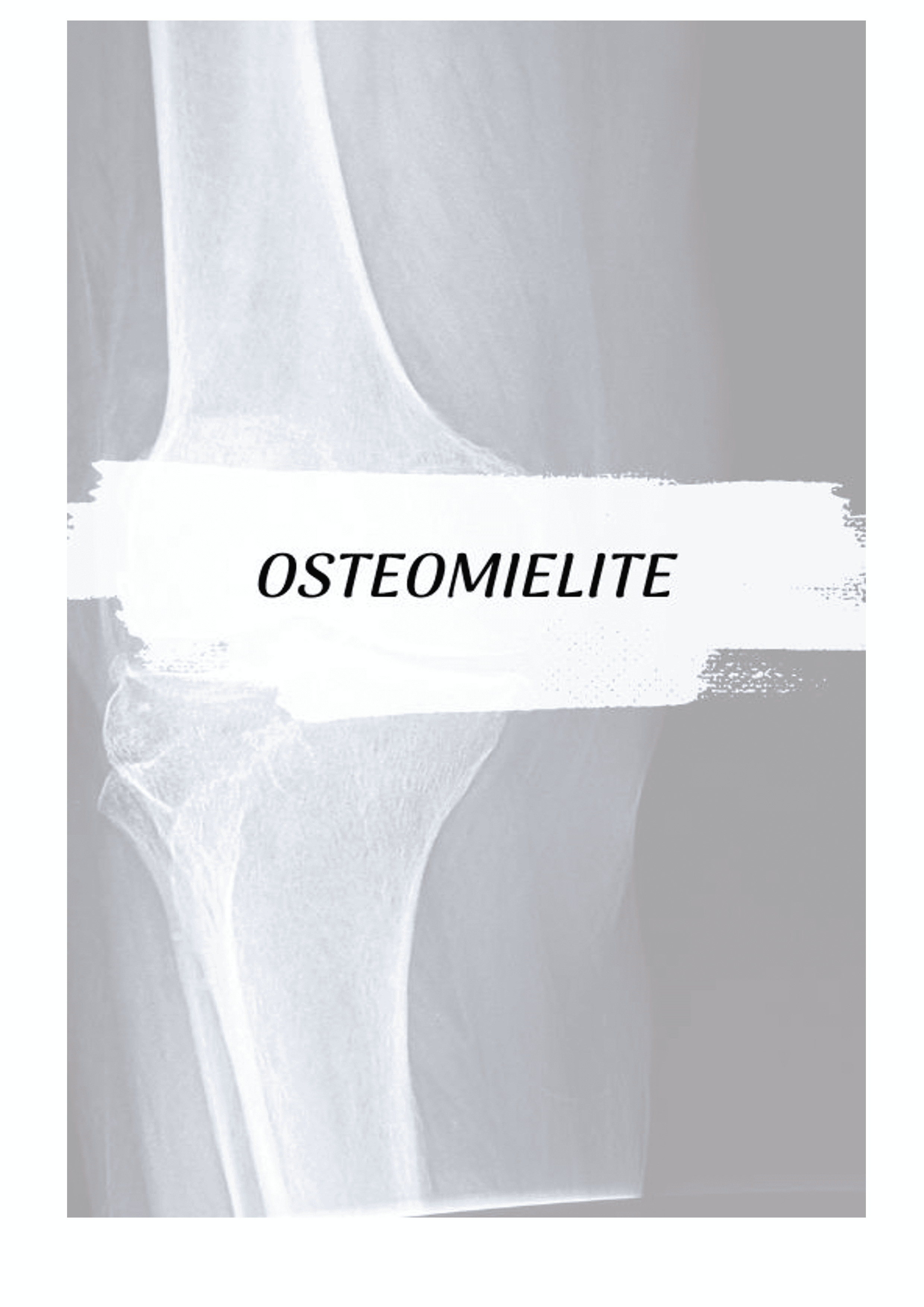 19Um_Guia_de_Raciocínio_para_Aprender_os_Antibióticos_Bizu_Farmacológico_106