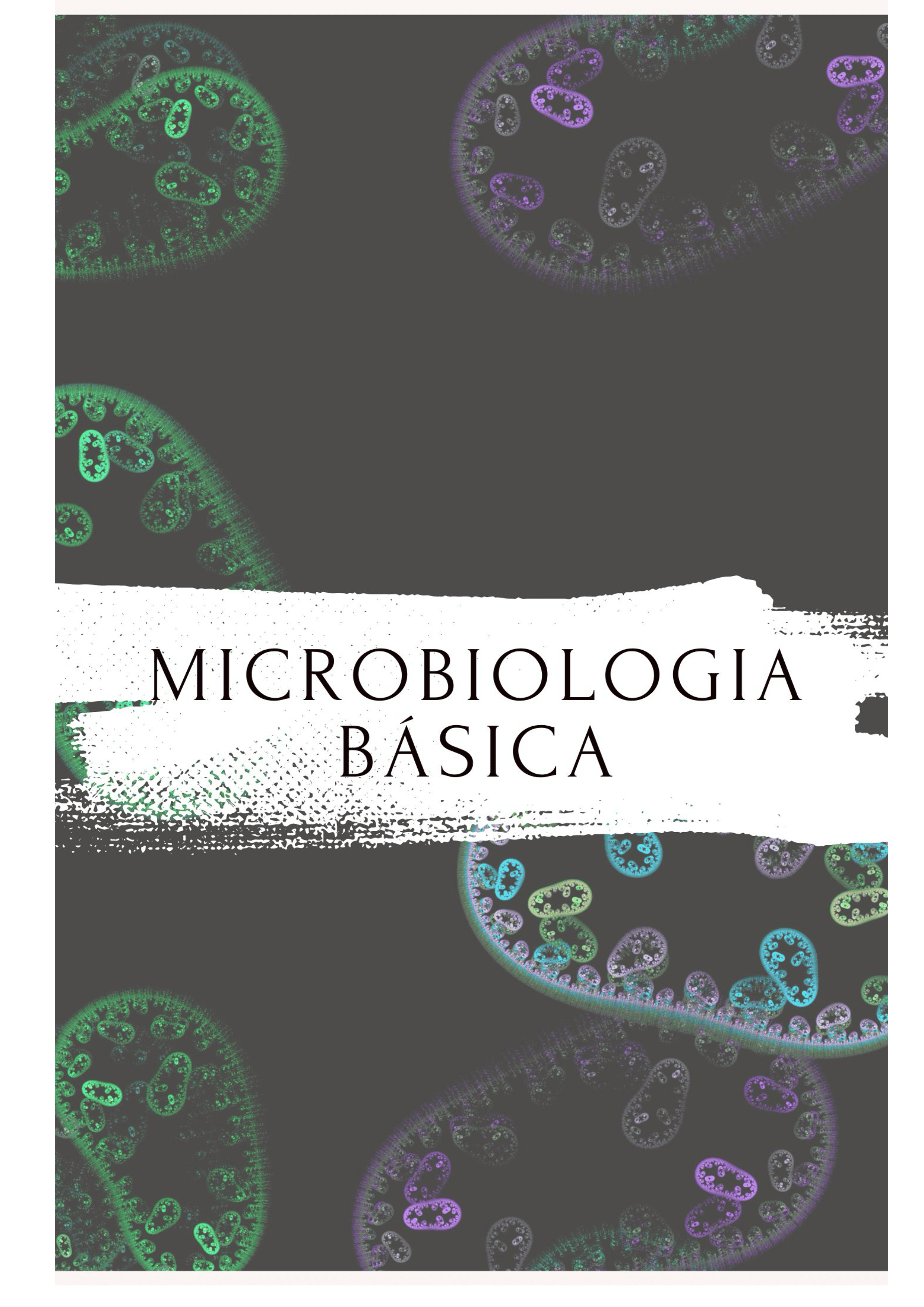 1Um_Guia_de_Raciocínio_para_Aprender_os_Antibióticos_Bizu_Farmacológico_3
