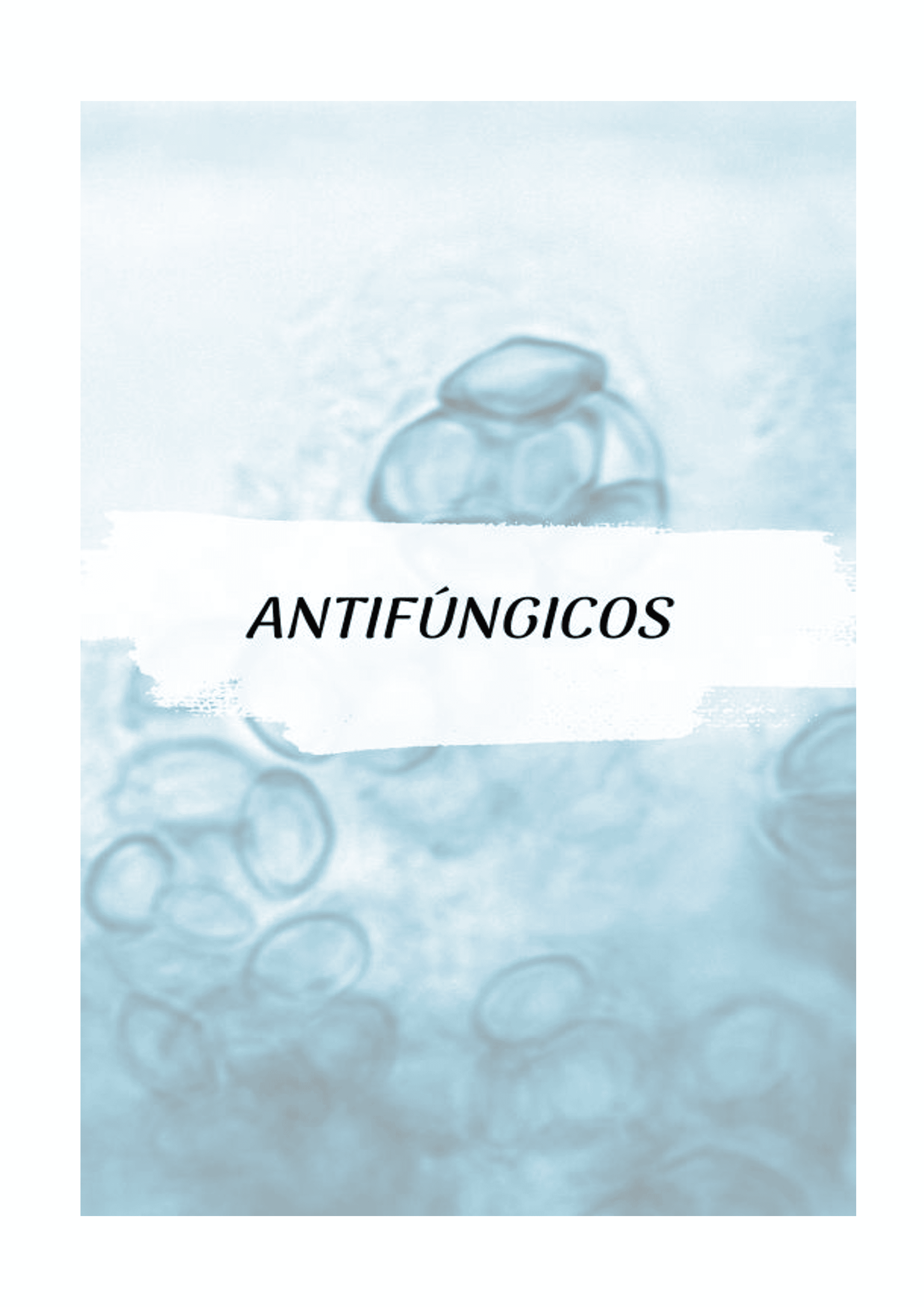 21Um_Guia_de_Raciocínio_para_Aprender_os_Antibióticos_Bizu_Farmacológico_109