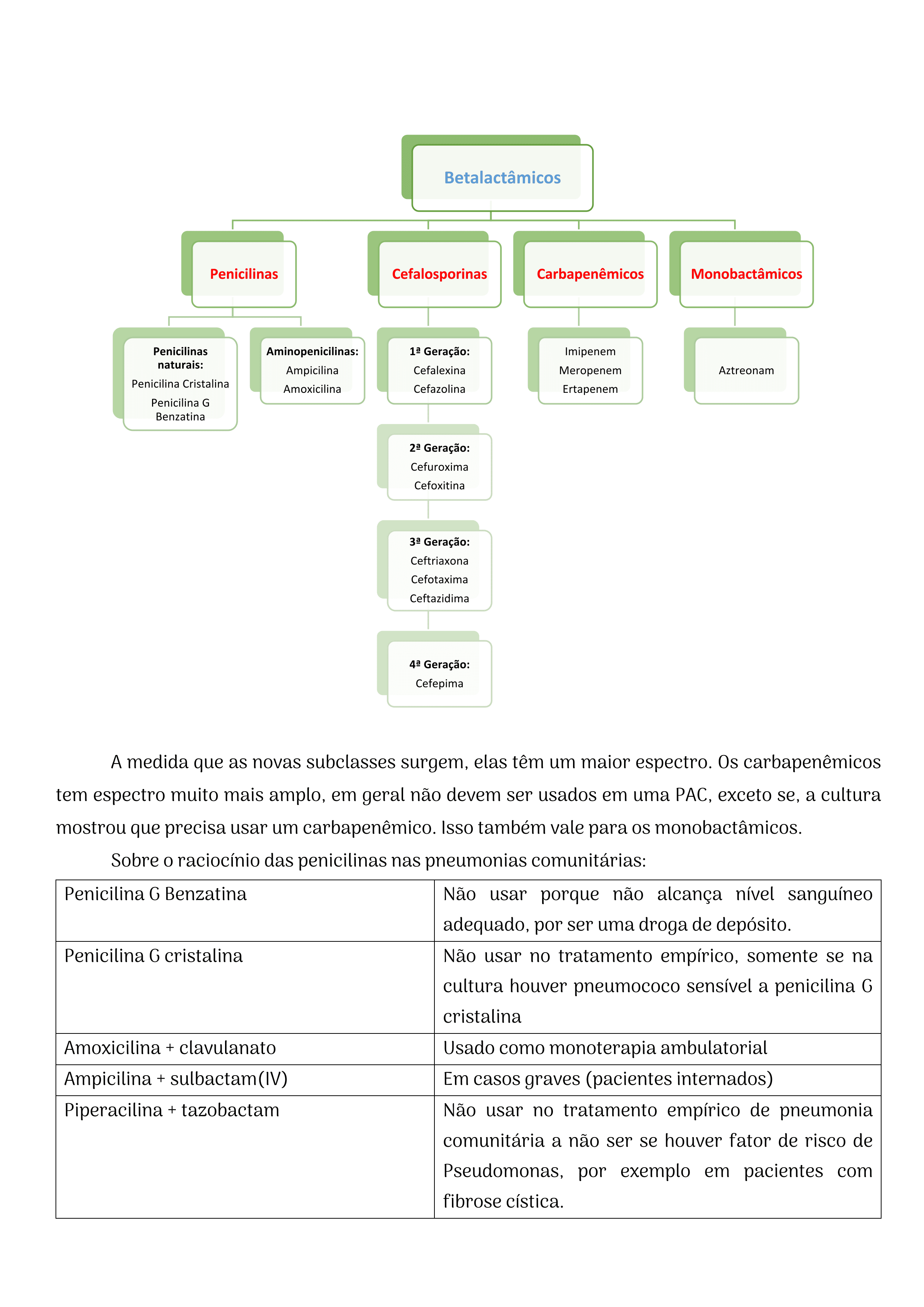 6Um_Guia_de_Raciocínio_para_Aprender_os_Antibióticos_Bizu_Farmacológico_33